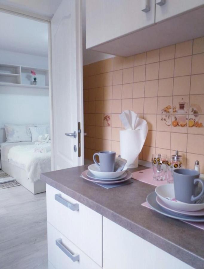Epic Apartment Timisoara Esterno foto